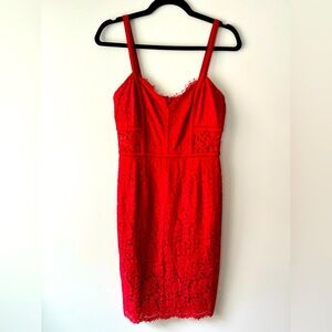 Express Lace Midi Dress (6)